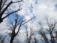 -西昌邛海宾馆