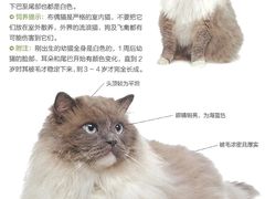 -心语宠物医院·急重症转诊中心·瑞辰华诺(南青路店)