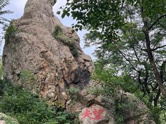 -涂山风景区