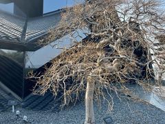 -东钱湖旅游度假区