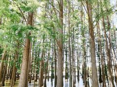 -采石矶景区