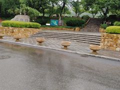 -大连植物园