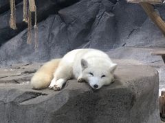 -海合安青岛极地海洋公园