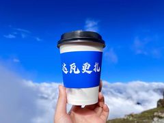 -达瓦更扎