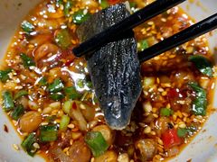 -云鱿记鱿鱼鸡·野生菌火锅(人民南路店)
