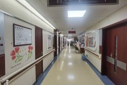 -复旦大学附属妇产科医院(杨浦院区)