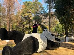 -宝岩生态观光园