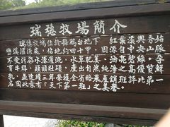 -瑞穗牧场