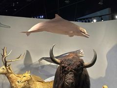 -中国湿地博物馆