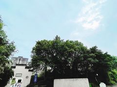 -大渡口区义渡公园