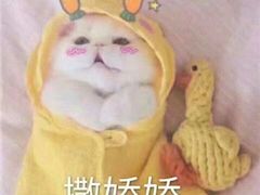 -渔中舟海鲜大排档(普陀沈家门店)