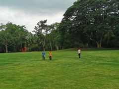 -中国科学院西双版纳热带植物园