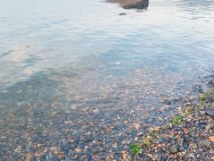 -小黑石海滨浴场·停车场