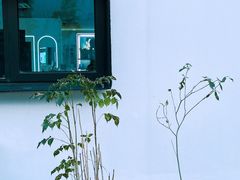 -青果巷历史文化街区