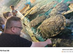 -烟台海昌鲸鲨海洋公园