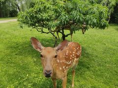-银树楼(紫玉山庄东区店)