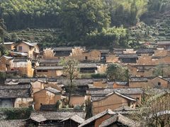 -杨家堂村