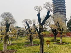 -西海子公园