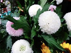 -何兮花店·气球派对鲜花店(马桥银春路万科城店)