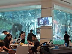 -帝企鹅自助餐厅•儿童岛•真企鹅(长隆企鹅酒店)