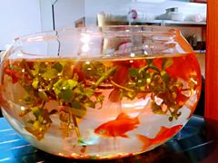 -南粥北面(东大桥店)