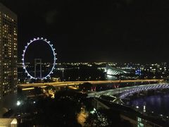 -新加坡文华东方酒店