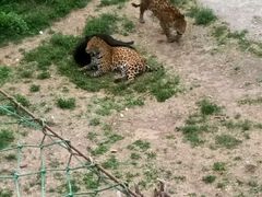 -石家庄市动物园