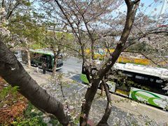 -南浦大桥长途旅游客运站