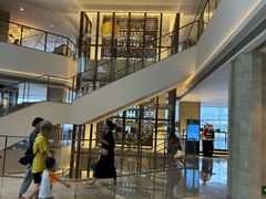 -广州白天鹅宾馆