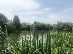 -新荣记(西溪湿地店)