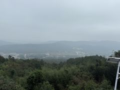 -冶父山国家森林公园