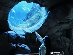 -香港海洋公园