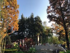 -云南省图书馆