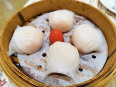 -赏点粤式点心(广州塔店)