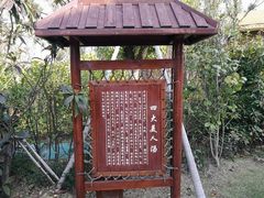 -宁波杭州湾海底温泉