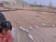 -九城宫草原漫瀚文化旅游区