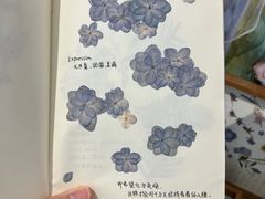 -知物癖(牛王庙店)