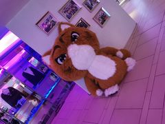 -真爱范特西KTV(交大店)