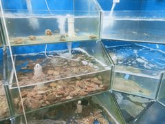 水产区-雅逸居海鲜小厨