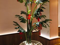 -森Some Fusion(荔湾店)
