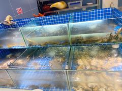 水产区-鼎级香· 火锅烤肉自助丨涮烤一体(蜀山唯品会店)