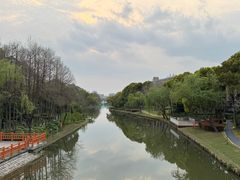 -新江湾城公园