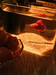 -An Ting岸汀·美容SPA