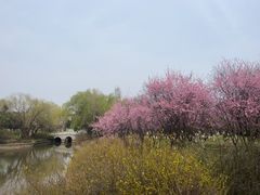 -采石矶景区