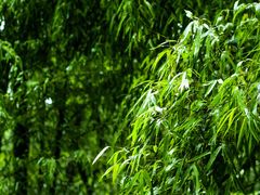 -萍乡武功山风景名胜区