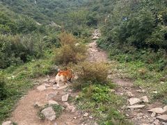 -灵山