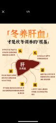 -克丽缇娜
