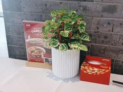 -旺顺阁鱼头泡饼(小红门店)