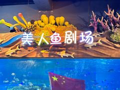 -太奥幻太奇海洋馆