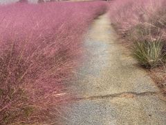 -江苏三台山国家森林公园
